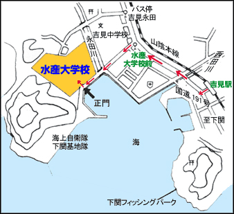 ���դ��Ͽ�