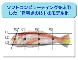 ���ܥåȤ���Ū�������