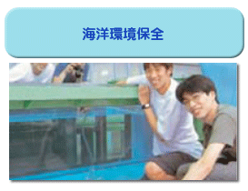 Ķ���Ȥˤ��ե����ο���ɾ��