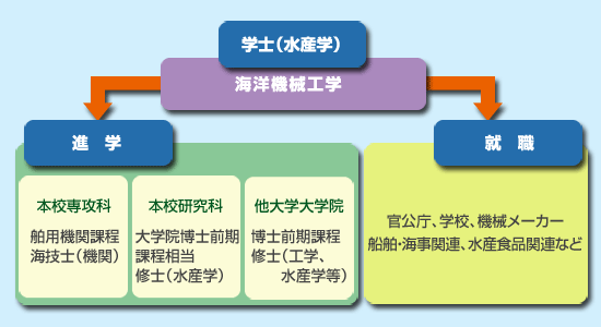 ��ϩ��ή������