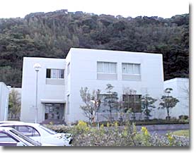 ���ε�������½��������