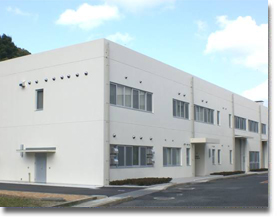 �����¸�������