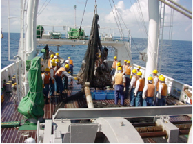 �ں��ѹ�Ĭ�Ҿ�θ���