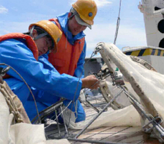 ����Υ����顩�β���