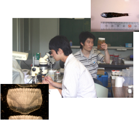 �ͤä������νŤȽŤ����̤�