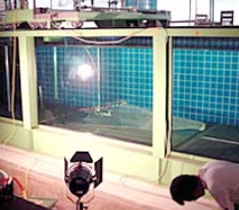 ����Υ����顩�β���