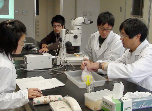 �졼������ߥ졼���ˤ��½�����