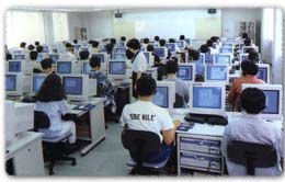 LL��CAI�����ǤαѸ����