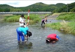 ������ʪĴ��