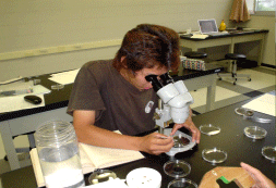 ��������Ĵ��