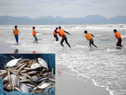 �ե������Ĵ��