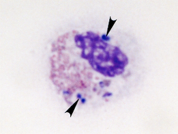 ���ͳ���Ĵ��