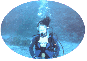 ���᡼������