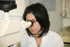 �Ż��̳�����