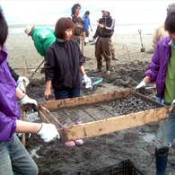 ���������Υܥ��ƥ�����ư