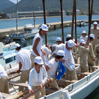 �����½�