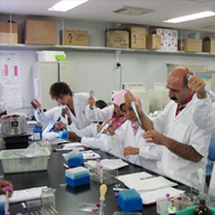 JICA���ĸ���