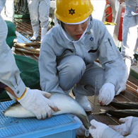 �ξ����ٴ����½�