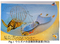 �������󥯥饲����