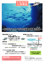 �ݥ���������