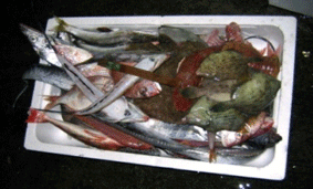 ���ʳ���